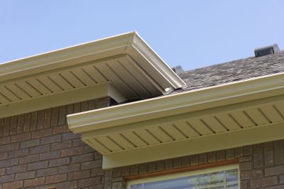 Pest Infestation Prevention
